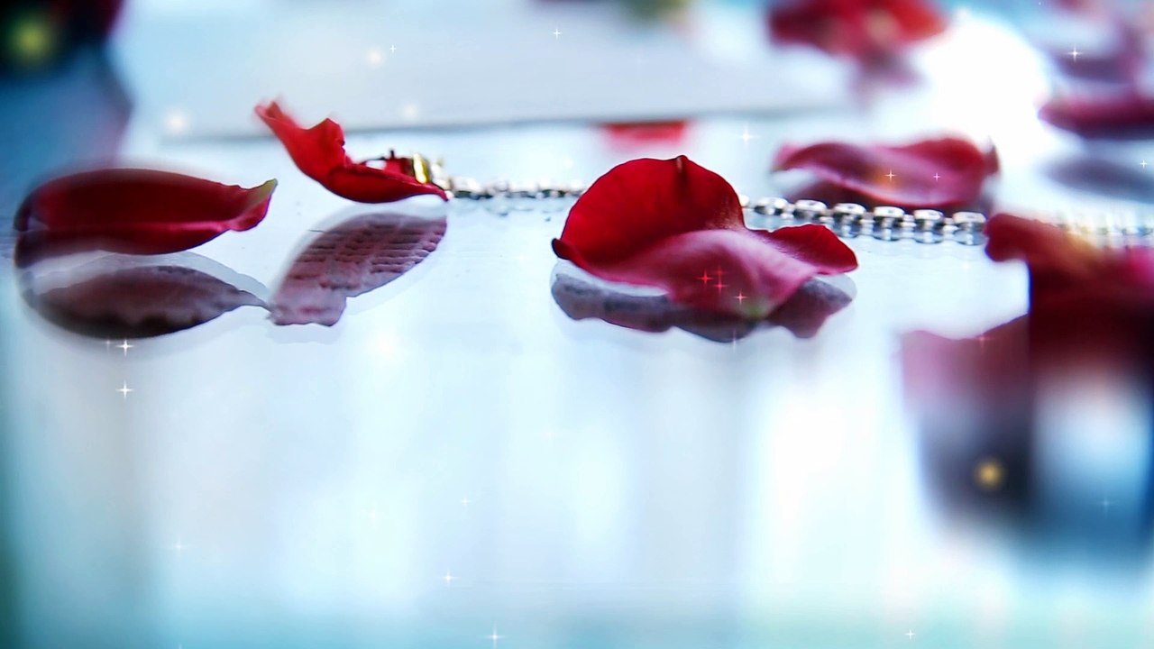 Short Wedding Gallery
