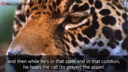 Pray Until Your Last Breath