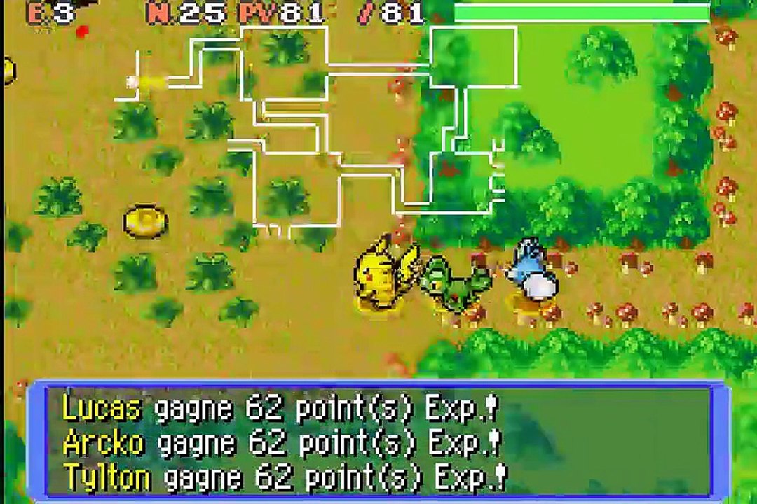 pokemon équipe de secours 19