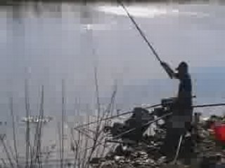 pêche : Saint gilles  en mars