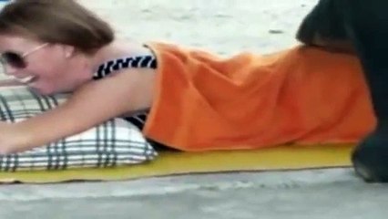 Un éléphant qui fait une massage aux touristes