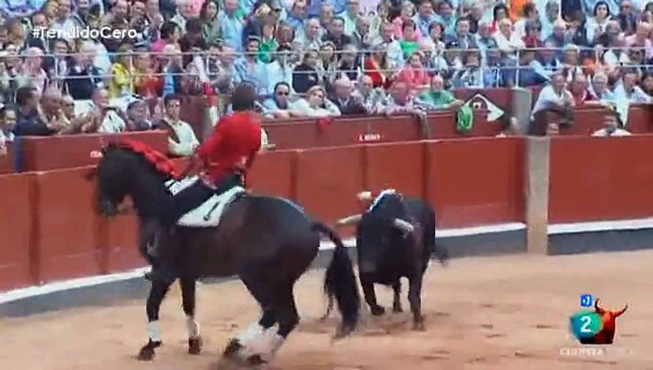Feria de Salamanca 2014
