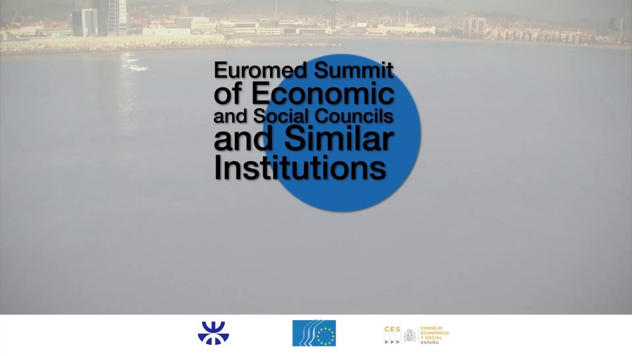 Euromed Summint of Economic and Social Councils