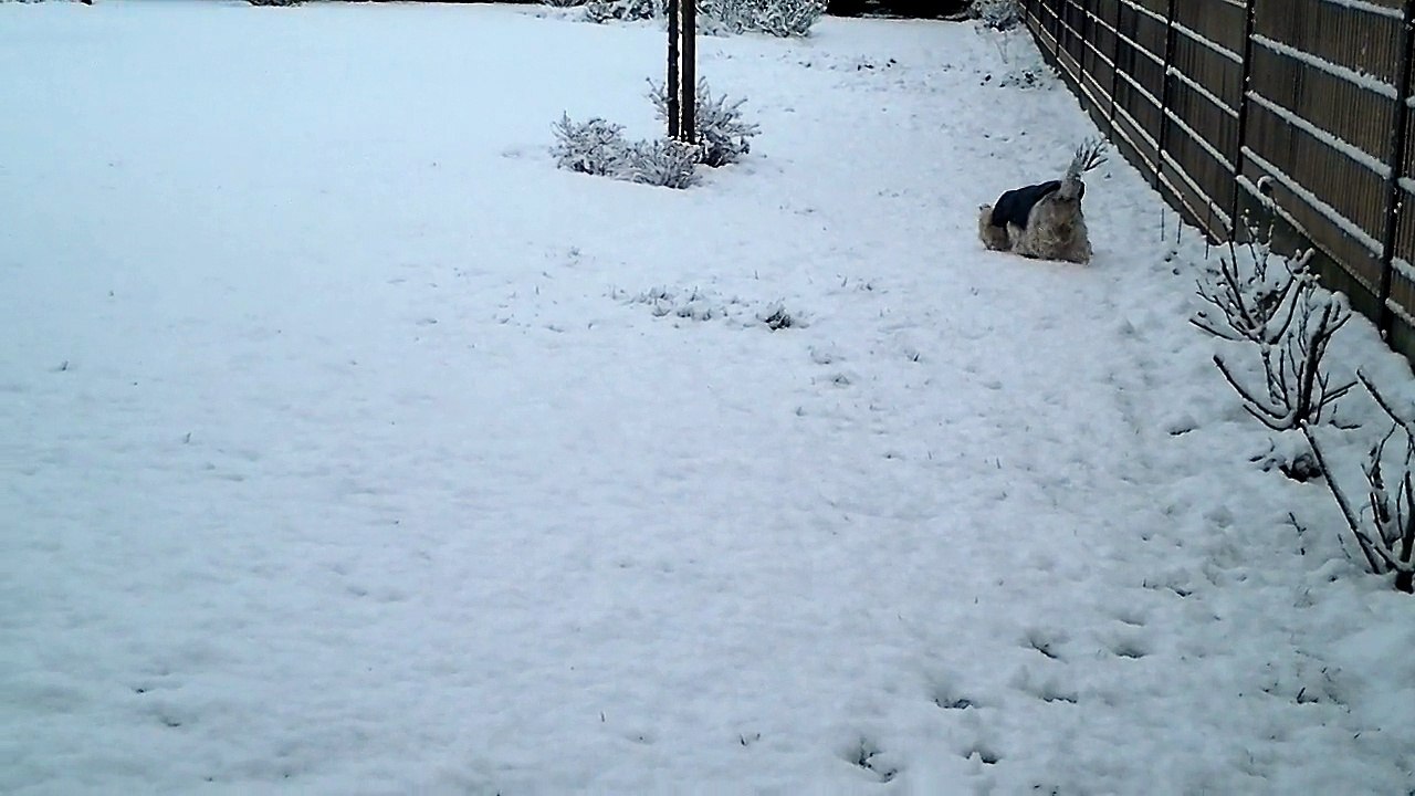Babou 30 Janvier 2015