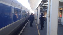 Dégagement de fumée dans un TGV