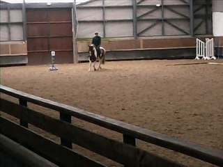Examen blanc CEP3 Dressage (23:01:2015)