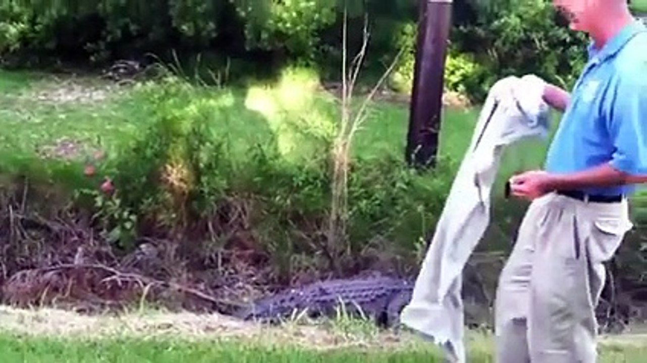 crazy man with crocodile