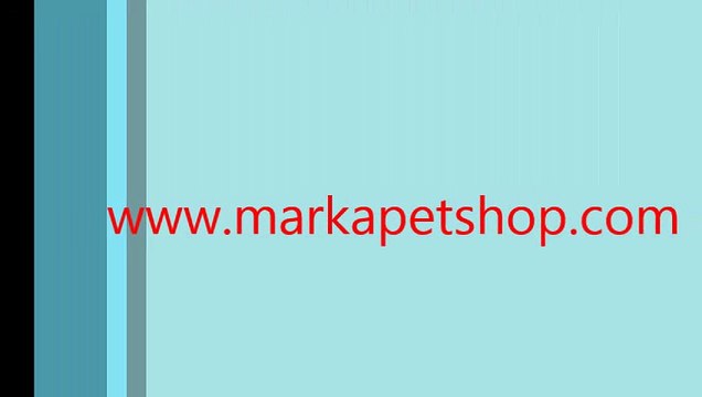 nipel damlılığı satışı,nipel damlalığı ankara,nipel damlalığı İstanbul,nipel damlalıkları,civciv nipel damlalığı,NİPEL DAMLALIĞI