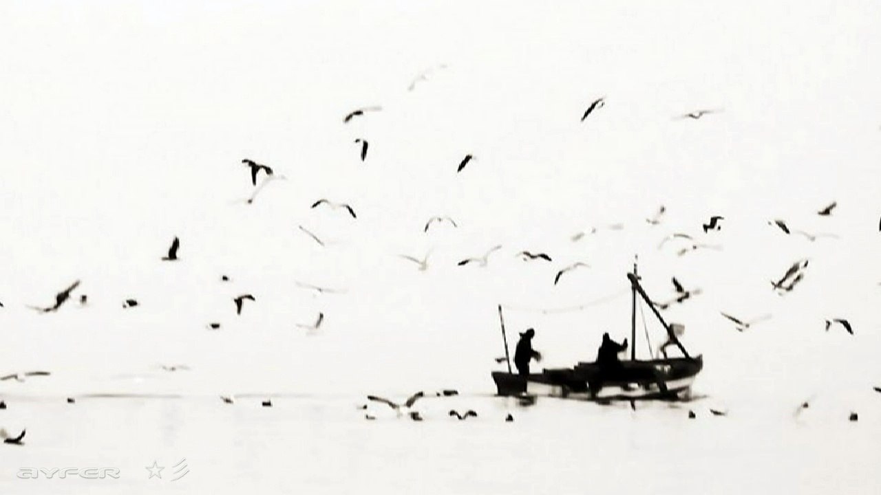 Saksafon & Klarnet Enstrumental - Efsane  ☆彡