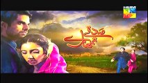 Sadqay Tumhare Episode 17 Full on Hum tv 30th Jan 2015