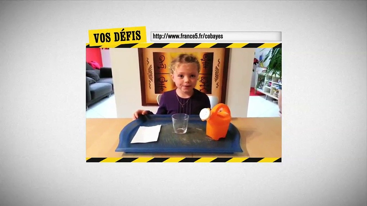 Les défis des internautes - Layna, Antoine, Marin, Chloé, Julien, Théo, Bertrand, Benjamin et Chloé