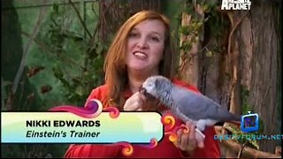 Animal Planet Most Outrageous 30th January 2015 Video Watch pt1