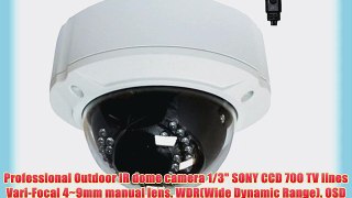 Professional 1/3 SONY SUPER HAD II CCD Outdoor IR dome security camera 700 TV lines 30 IR Leds