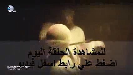 مسلسل وادي الذئاب الجزء 9 - الحلقة 31 - 32 كاملة  wadidiab 9 ep