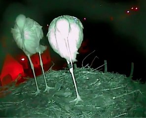 02.02.15 Insomnie / Schlaflosigkeit