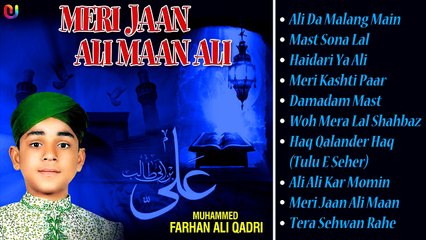 Ramzan Naat 2014 New Collection - Meri Jaan Ali Maan - Farhan Ali Qadri Naats - Ramadan 2014 Songs