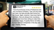 5-Star Rating for Dorsey Services, Inc. by Kathleen H.         Terrific         Five Star Review by Kathleen H.