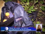 MINAE intensifica operativos contra tráfico de huevos de tortugas