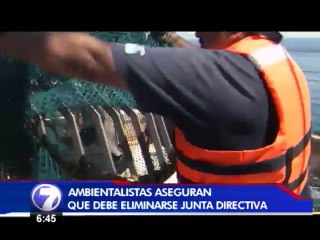 Proyecto de ley busca eliminar figura de Junta Directiva del INCOPESCA