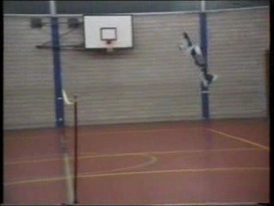 Modelisme Rc Avion Voltige Indoor