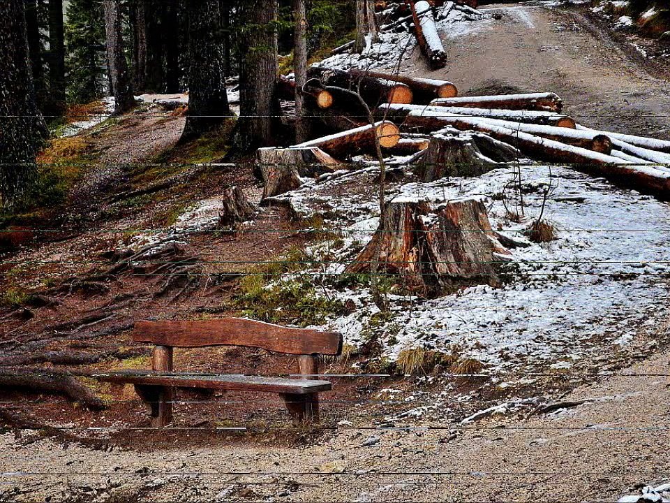 le lac da Braies, Dolomites