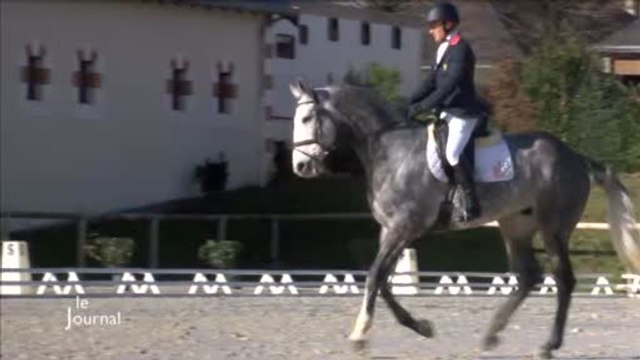 Concours national de dressage au Haras de la Vendée