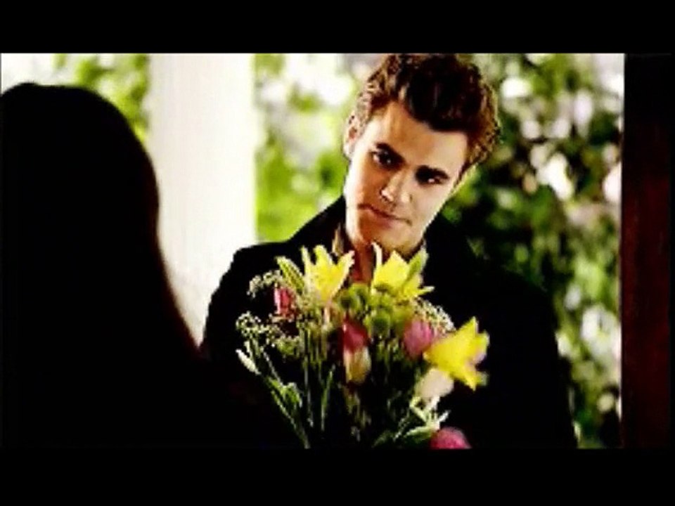 Stefan & Elena | Animals