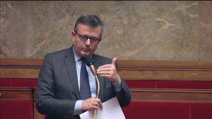 Loi Macron : l'Assemblée encadre l'utilisation du drapeau tricolore sur les produits