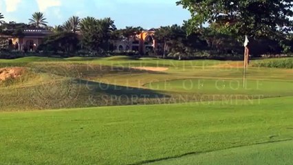 Student Testimonial College of Golf