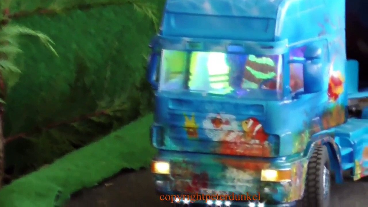 SCANIA FLOWER POWER TRUCK RC MODEL