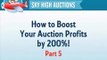 How to Maximize your Profits Selling Items on eBay or Amazon 2014
