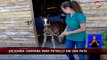 Piden ayuda para potrillo que sufrió amputación de una pata por maltrato animal - CHV Noticias