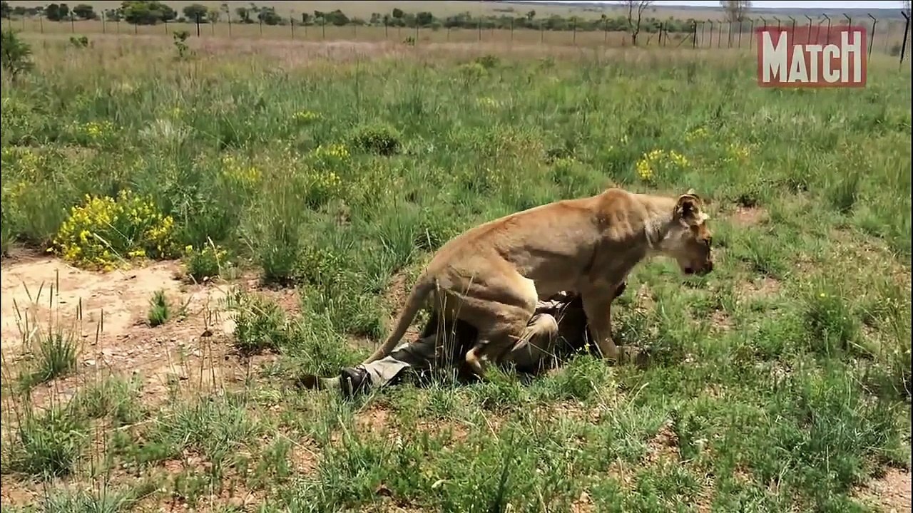 Animals Documentary National Geographic: Animals/Wildlife/Nature (Documentary) #09