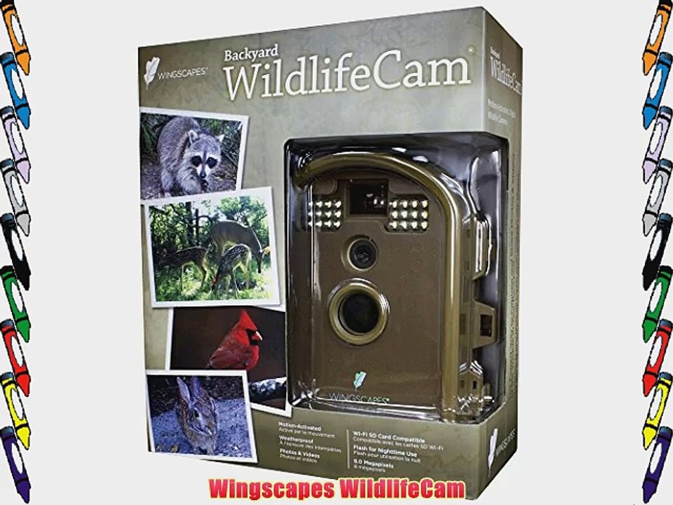 Wingscapes WildlifeCam