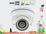 BW? BWET7 1/3 Sony CCD EFFIO-E 700TVLine IR Vandal-proof CCTV Dome Camera With 2.0 Megapixel