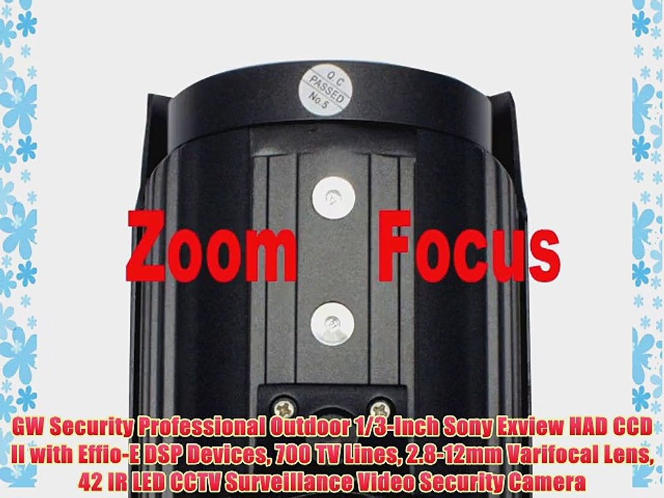 GW Security Professional Outdoor 1/3-Inch Sony Exview HAD CCD II with Effio-E DSP Devices 700