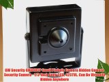 GW Security GW810CP Small Pinhole Camera Hidden Camera Security Camera - 1/3-Inch Sony CCD