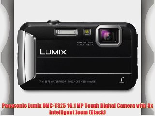 Panasonic Lumix DMC-TS25 16.1 MP Tough Digital Camera with 8x Intelligent Zoom (Black)