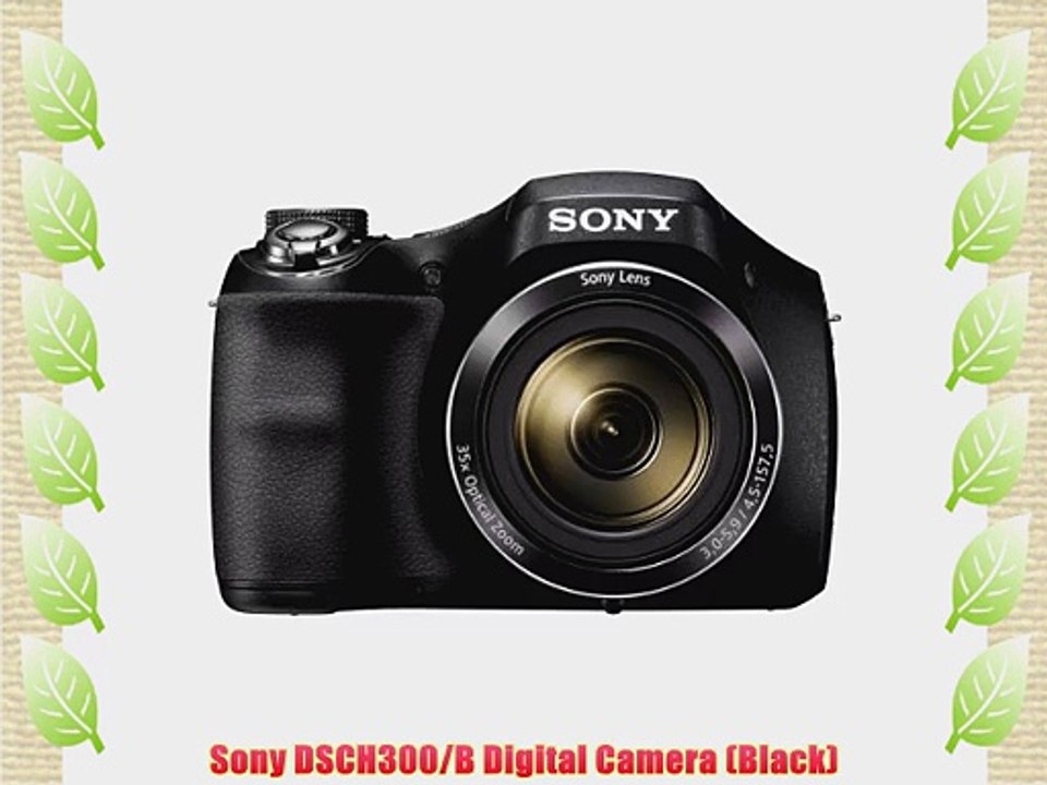 Sony DSCH300/B Digital Camera (Black)