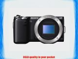 Sony NEX-5N 16.1 MP Compact Interchangeable Lens Camera with Touchscreen - Body Only (Black)