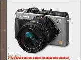 Panasonic Lumix DMC-GX1K 16 MP Micro 4/3 Compact System Camera with 3-Inch LCD Touch Screen