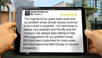 5-Star Rating for Dorsey Services, Inc. by Tawana S.         Amazing         5 Star Review by Tawana S.