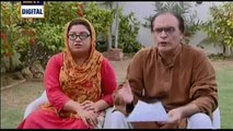 Bulbulay Episode 306 Full on Ary Digital - 3 August 2014