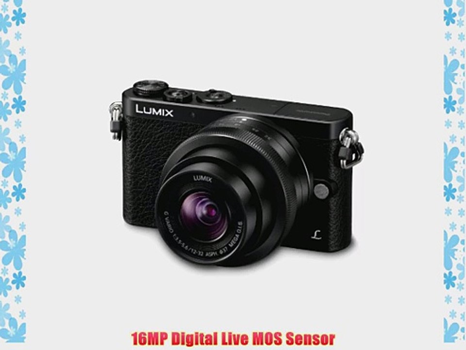 Panasonic LUMIX DMC-GM1KK Compact System Camera with 12-32mm Black Lens Kit
