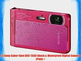 Sony Cyber-Shot DSC-TX30 Shock