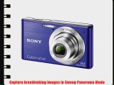 Sony Cyber-Shot DSC-W530 14.1 MP Digital Still Camera with Carl Zeiss Vario-Tessar 4x Wide-Angle