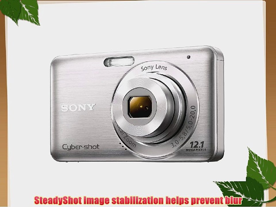 Sony DSC-W310 12.1MP Digital Camera with 4x Wide Angle Zoom with Digital Steady Shot Image