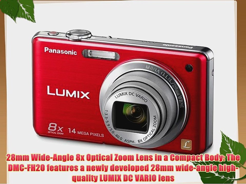 Panasonic Lumix DMC-FH20 14.1 MP Digital Camera with 8x Optical Image Stabilized Zoom and 2.7-Inch