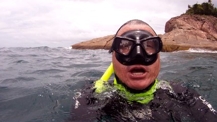 Turismo, Submarino, Observação Marinha, Navegação, 15 milhas naúticas, Embarcação miúda, Mares do Litoral Norte, Ubatuba, SP, Brasil, Marcelo Ambrogi, (36)