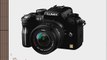 Panasonic Lumix DMC-G1 12.1MP Micro Four Thirds Interchangeable Lens Digital SLR Camera (Black
